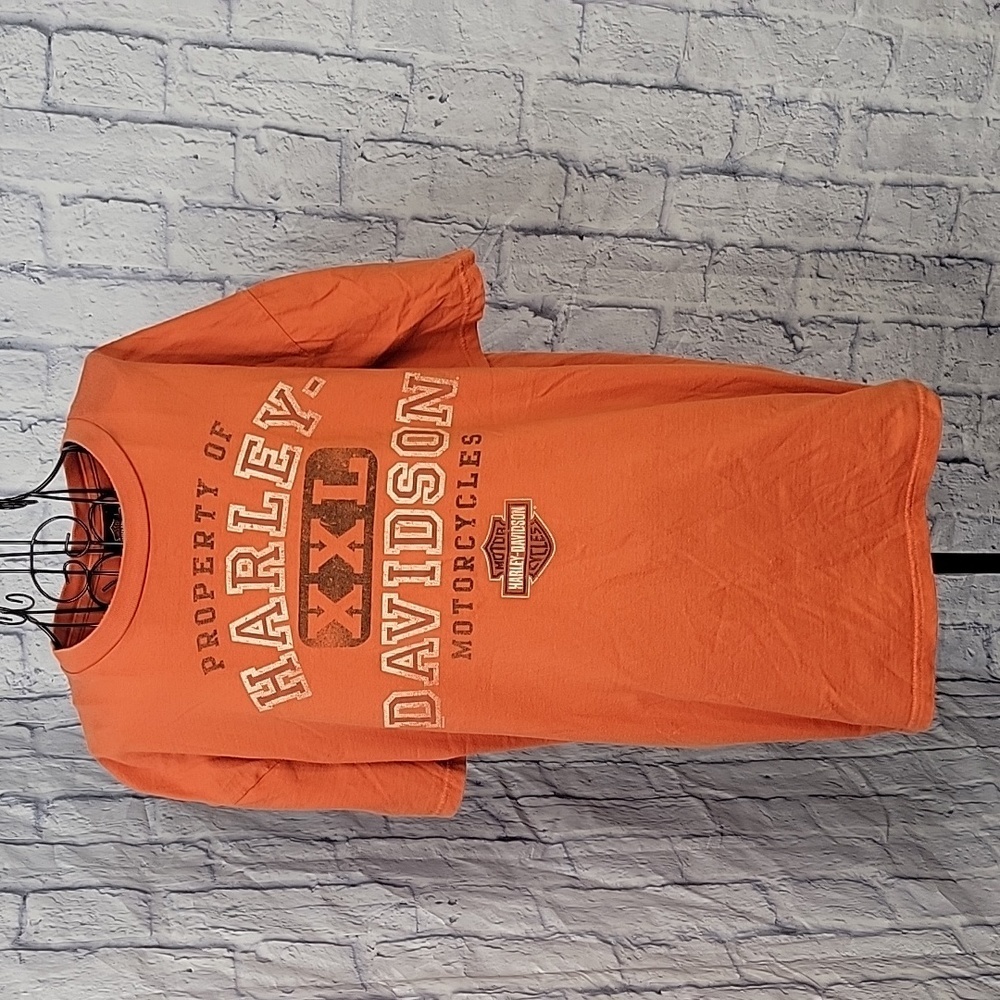 HARLEY DAVIDSON Big Swamp Opelika, Alabama Men's Shirt XL